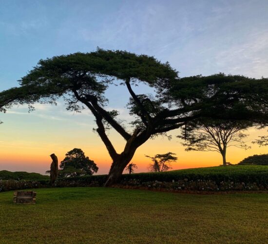 Huntingdon House - Satemwa Tea Estate