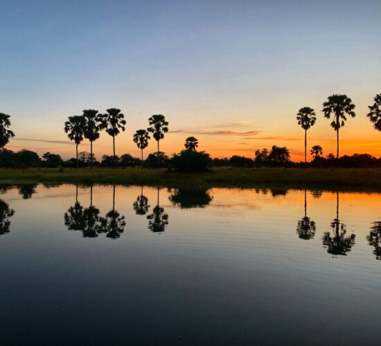 Mvuu Camp - Liwonde National Park