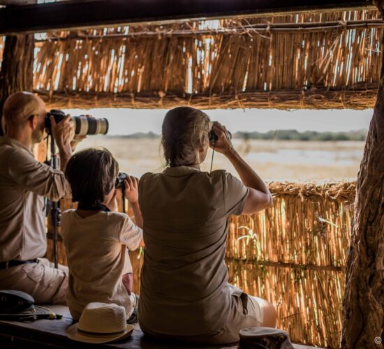 Photographic Hide in South Luangwa