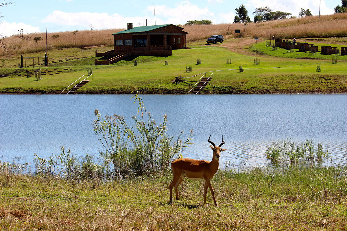 game haven - lodge-malawi-lodges-malawian-style-malawi-accommodation-satemwa-tea-estate