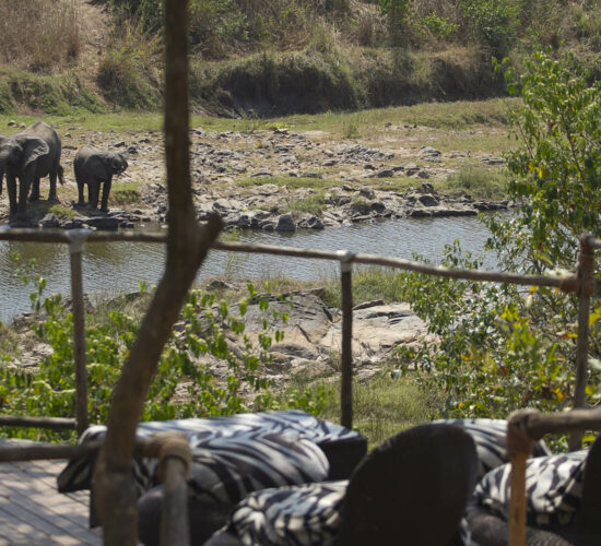 tongole wilderness lodge - malawi-lodges-malawian-style-nkhotakota-conservation-elephants