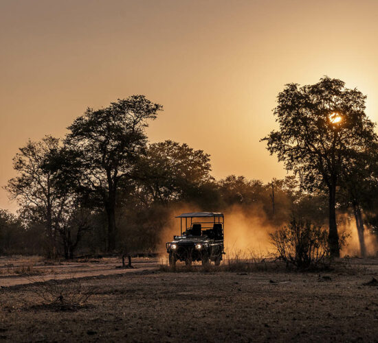 game-drive-sungani-lodge-south-luangwa-national-park-zambia-crafted-africa