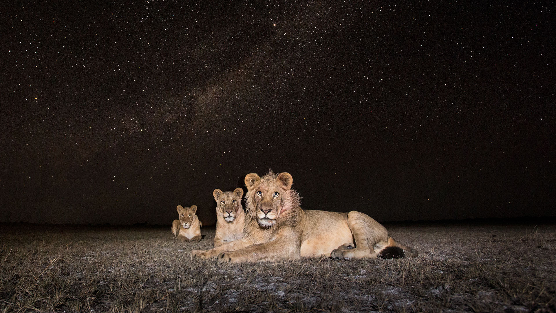liuwa-plain-national-park-key-destinations-zambia-crafted-africa