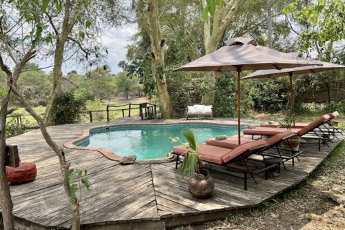 Mvuu Lodge, Liwonde