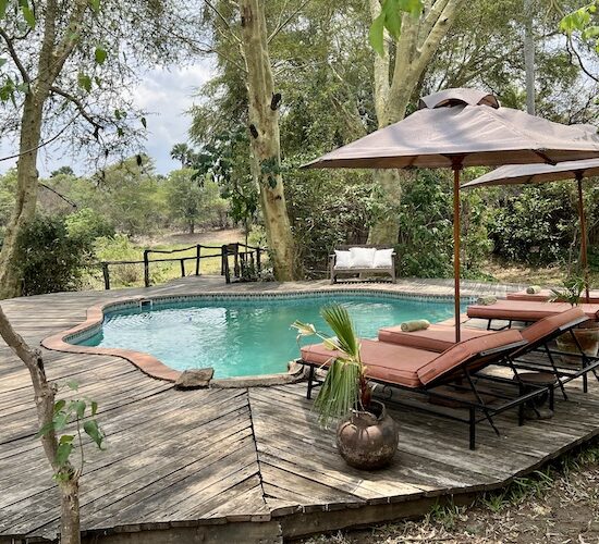 Mvuu Lodge, Liwonde