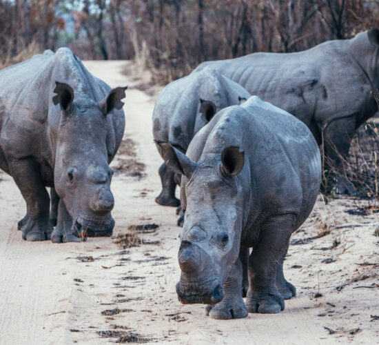 Matopos National Park