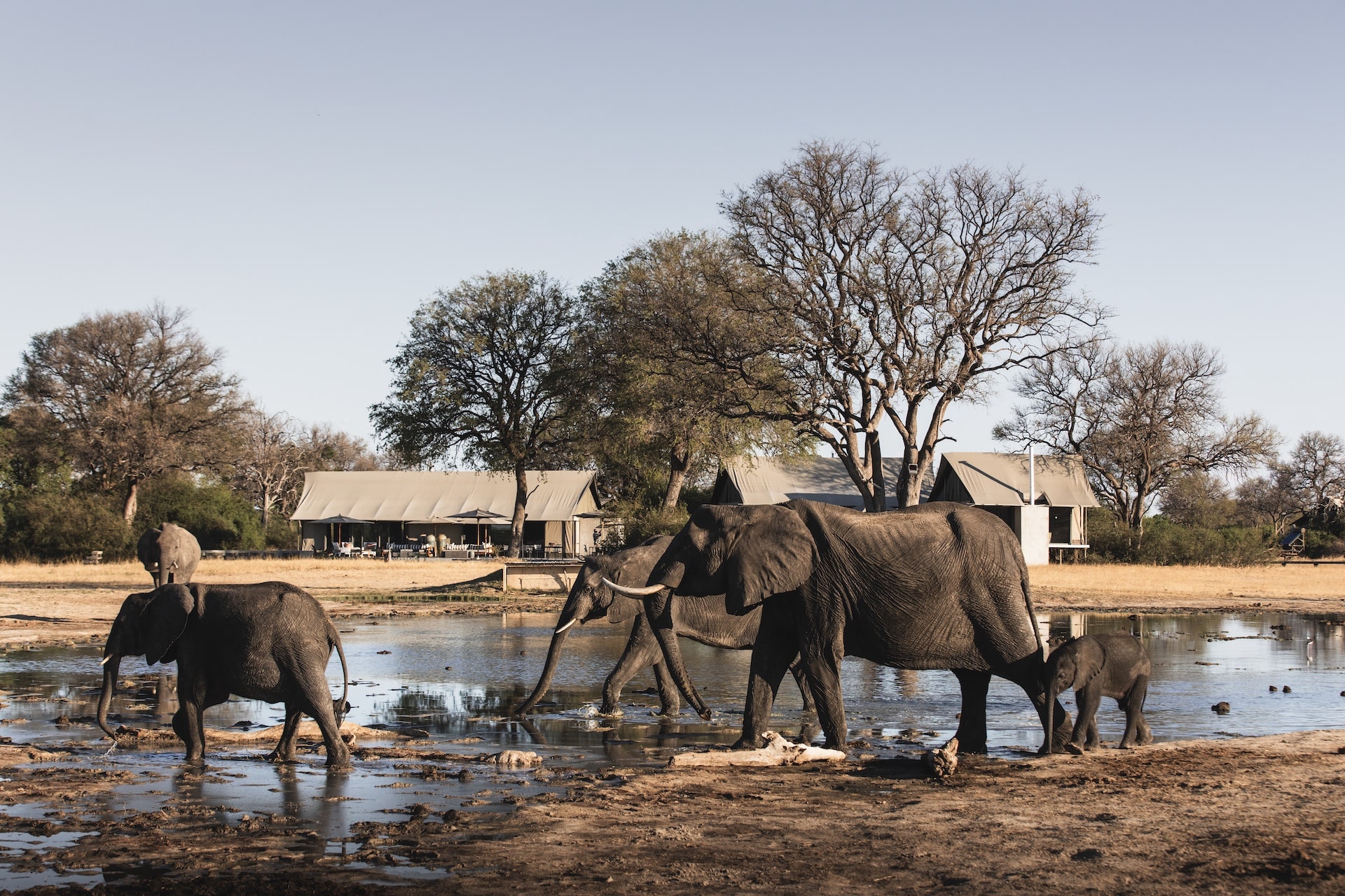 zimbabwe accommodation