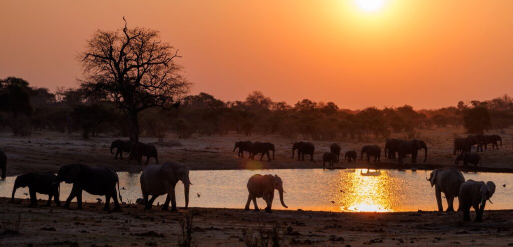 Sunset at Waterhole Hwange, Zimbabwe