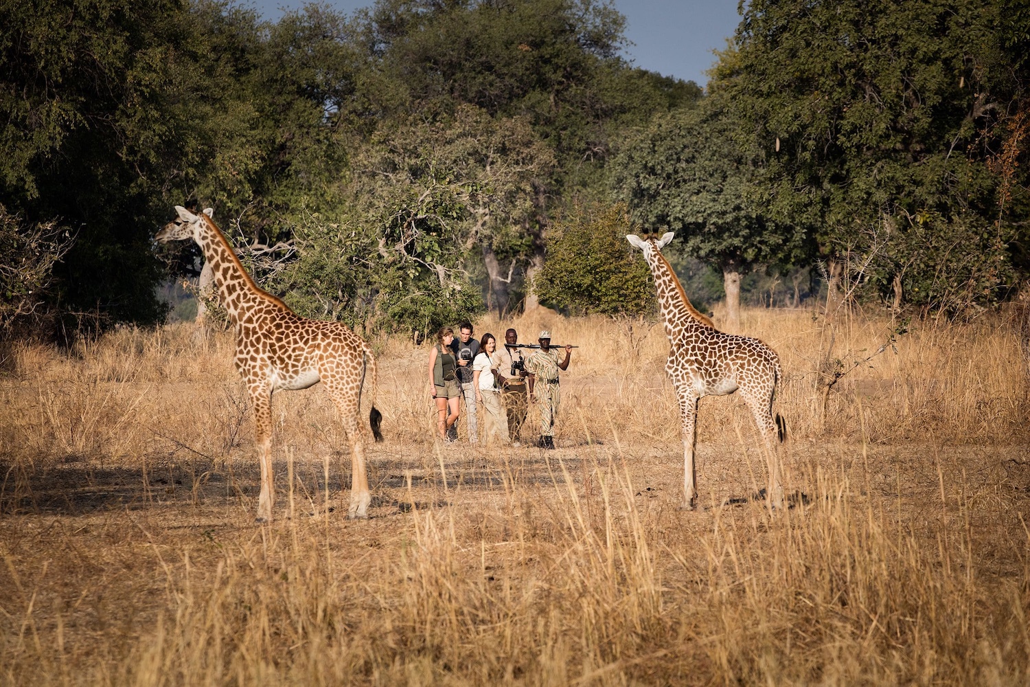 walking safari, south luangwa