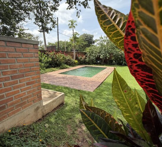 Crafted Africa Guesthouse Pool & Pizza