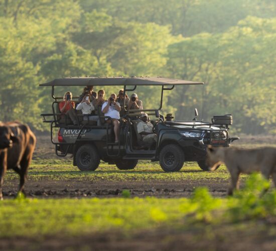 Mvuu Lodge Game Drive, Liwonde
