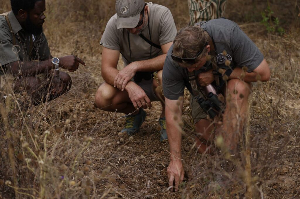 Kutandala, North Luangwa Walking Safari