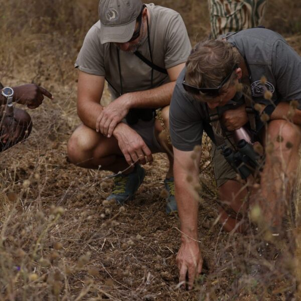 Kutandala, North Luangwa Walking Safari