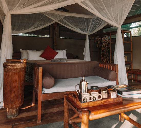 Mvuu Lodge Room interior