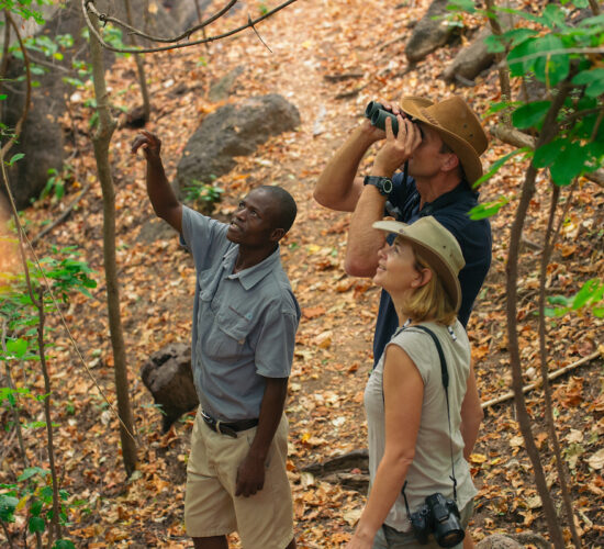 Pumulani Lodge Activity Trial Walks,