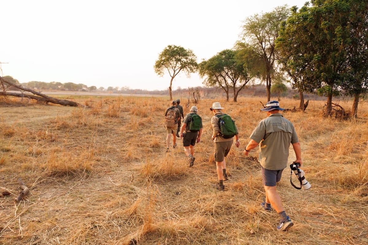North Luangwa Walking Safari