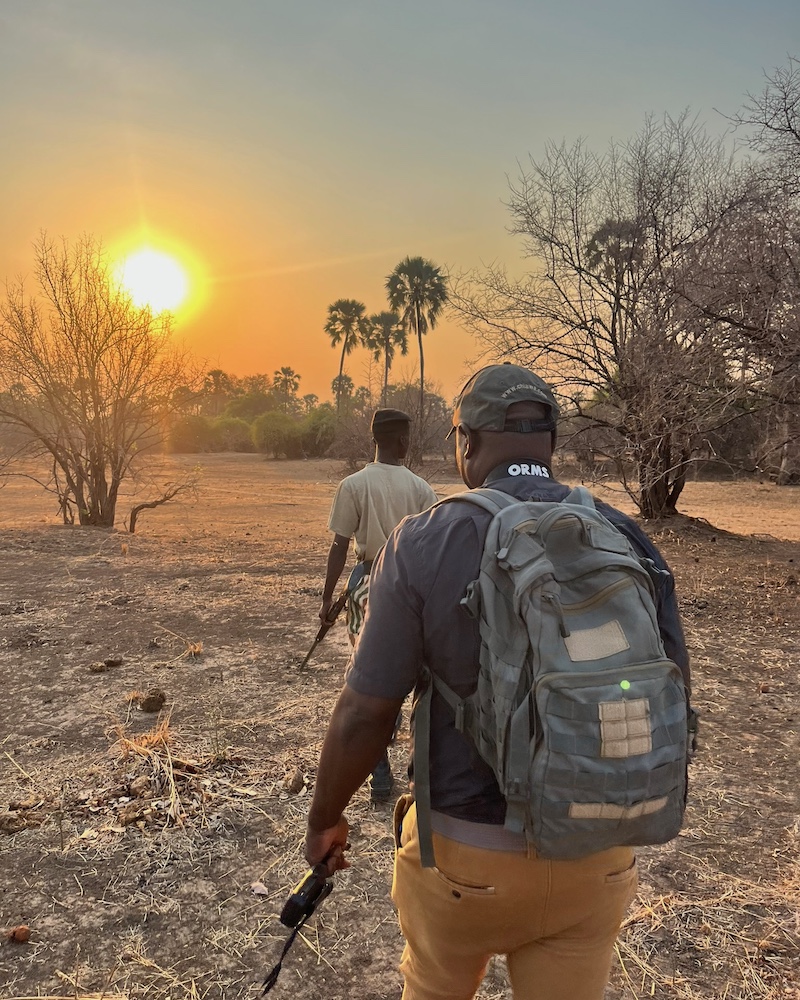 Walking Safari, South Luangwa, Chichele Presidential Walking Safari, South Luangwa, Chichele Presidential
