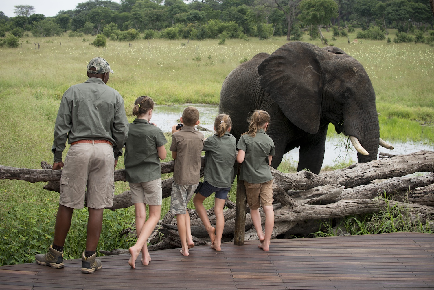 children on safari with elephant children on safari with elephant
